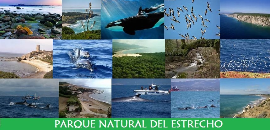 Algésiras acheter immobilier en Espagne Parque natural del Estrecho