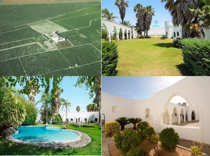 Cortijo vignoble acheter immobilier en Espagne 1