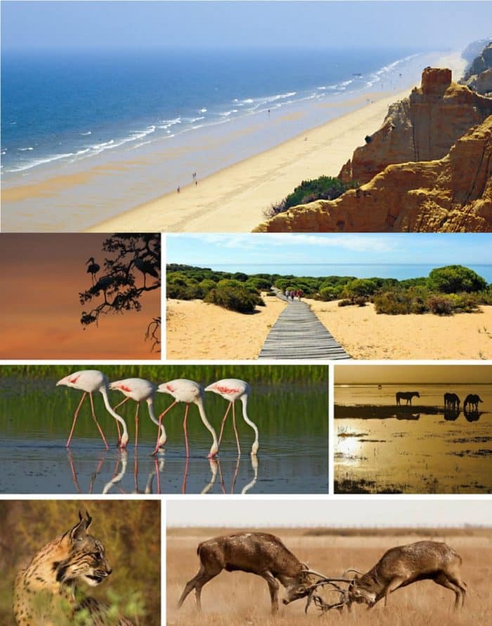 Parque naturel Donana Monastère Plage Acheter Immobilier Espagne