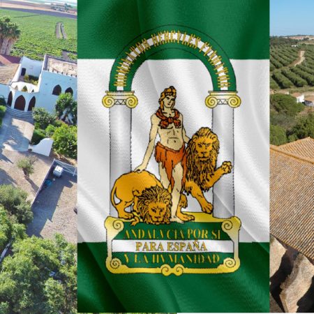 propriétés seville acheter immobilier Espagne 1