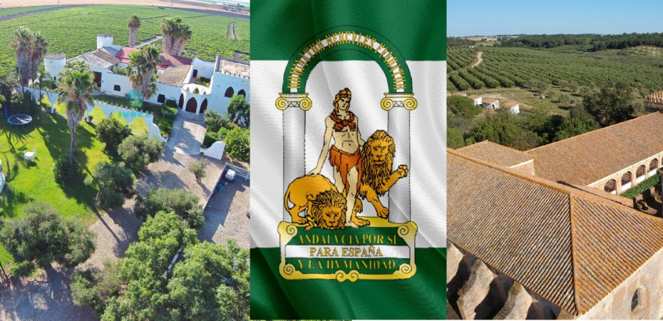 propriétés seville acheter immobilier Espagne 1