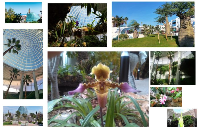 Estepona orchidarium acheter immobilier en Espagne