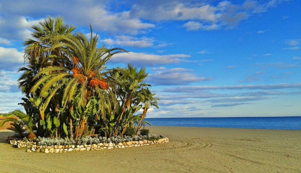 Estepona playa de la rada acheter immobilier en Espagne 2