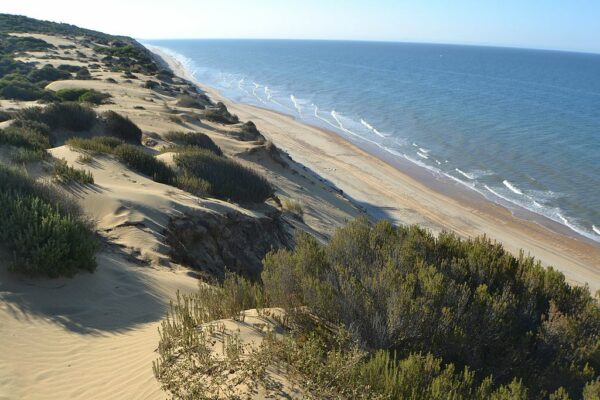 Parc national de Donana Huelva acheter immobilier en espagne