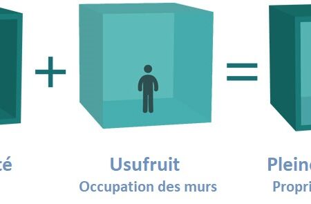 usufruit et nue-propriété acheter immobilier en Espagne