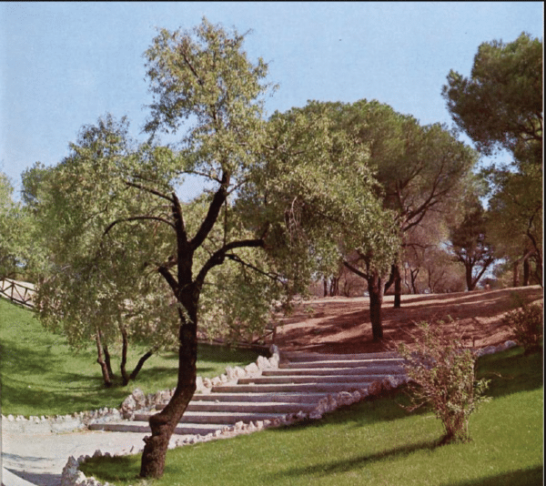 Valdezarza Madrid acheter en espagne