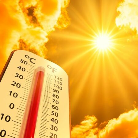 Chaleur Canicule